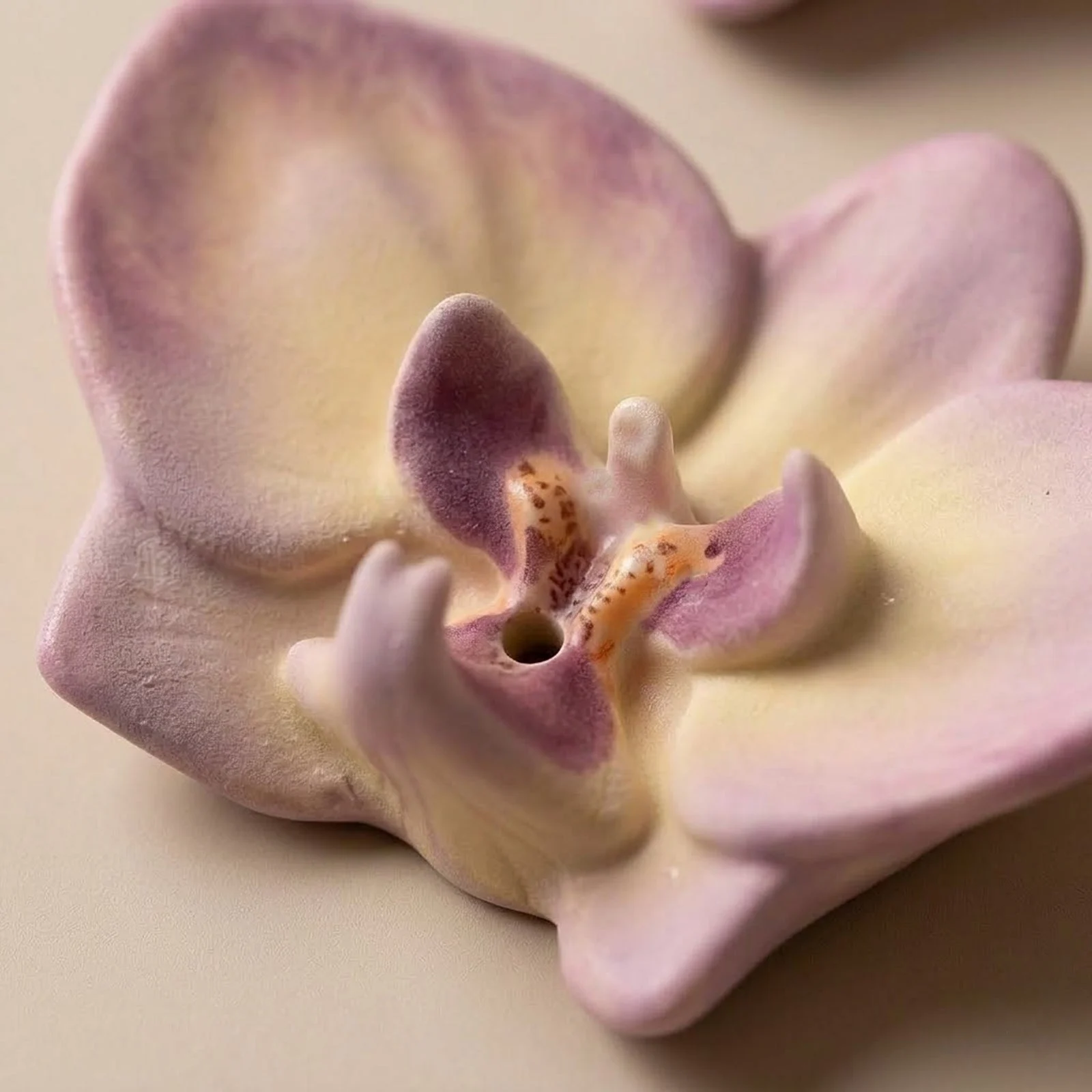 Macro study of a soft blush petal